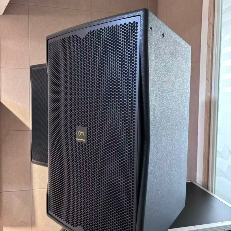 10-Inch Domc K210 Speaker, Peak Power of 1200W, 95dB Sensitivity