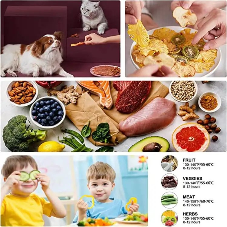 Small Appliances Mechanic Version Food Dryer Dehydrator Drying Machine