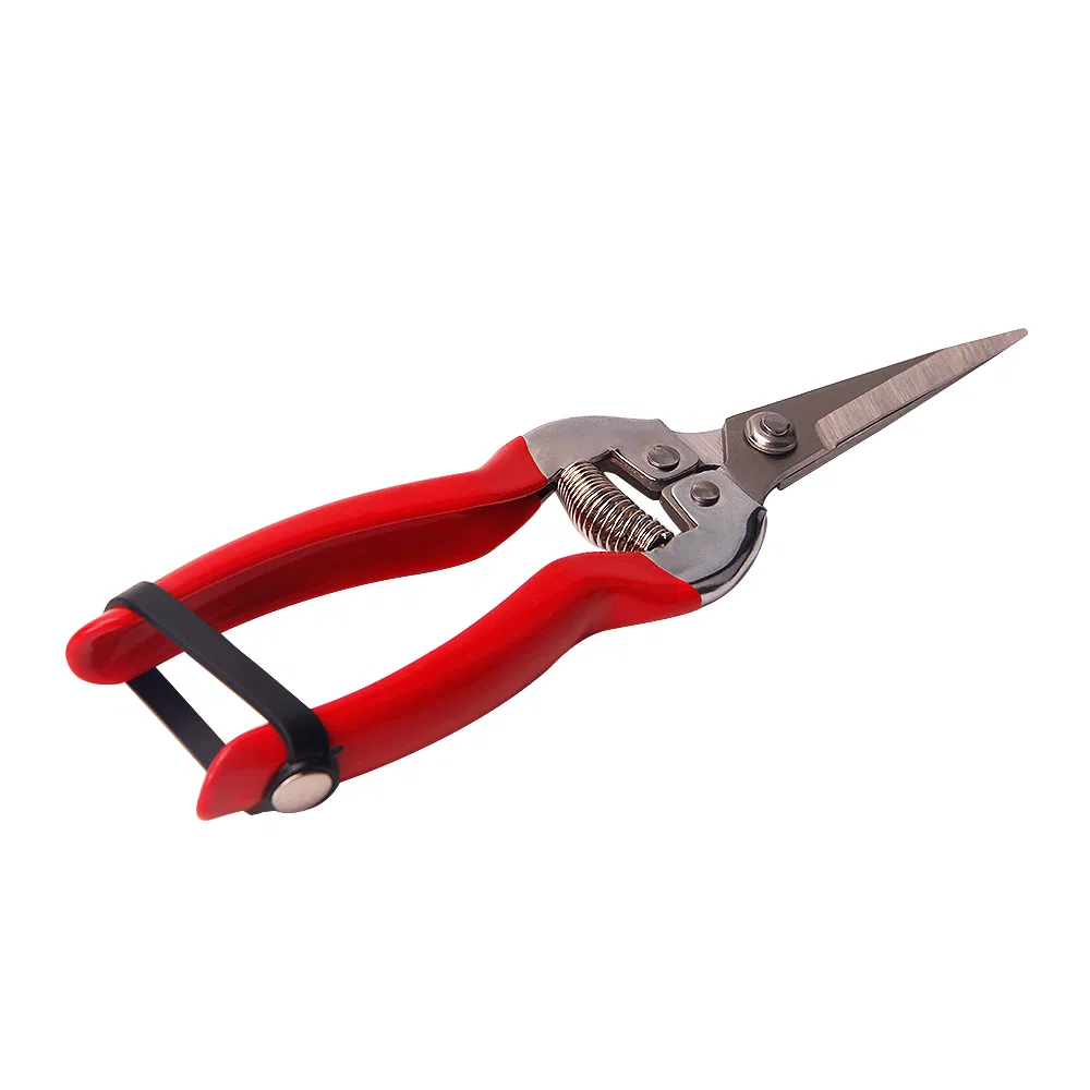 Wholesale Garden Scissors Supplier for Bulk Orders