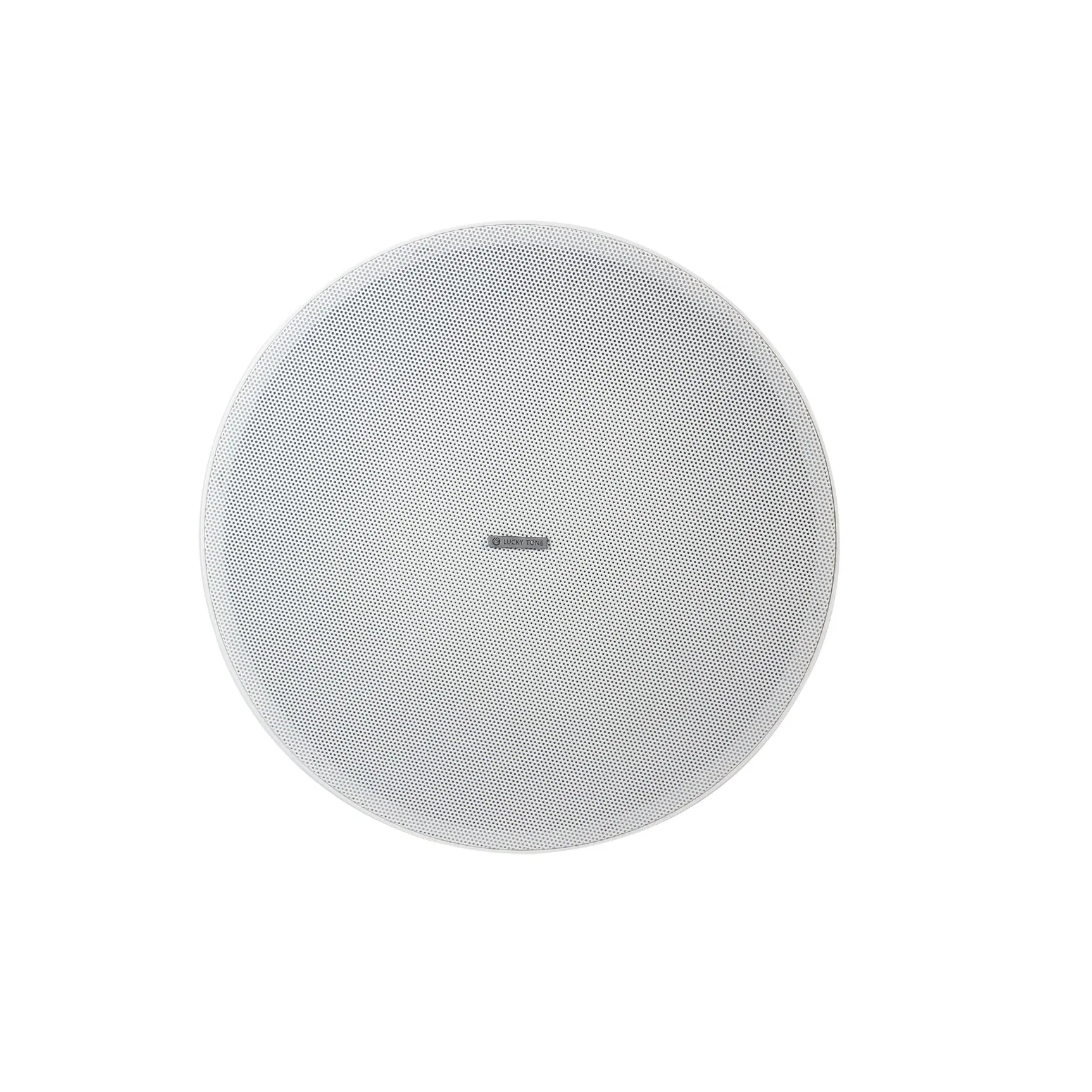 Passive 2 Way 6.5 Inch Rimless Hi Fi ABS Ceiling Speaker with Crossover PA in Ceiling Hanging Speaker