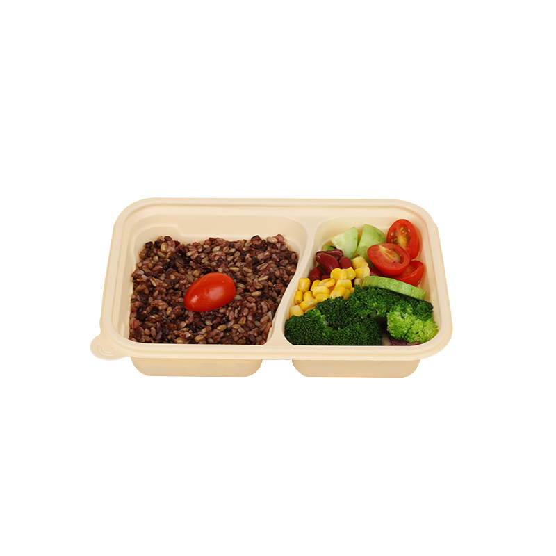 Biodegradable Disposable Lunch Box Safe Eco Friendly Degradable Packaging Boxes Takeaway Food
