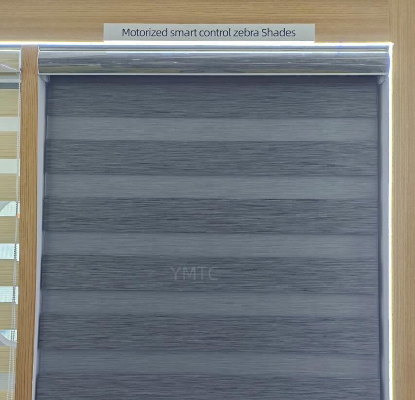 Home Decor Double Layers Motorized Smart Control Remote Zebra Blinds