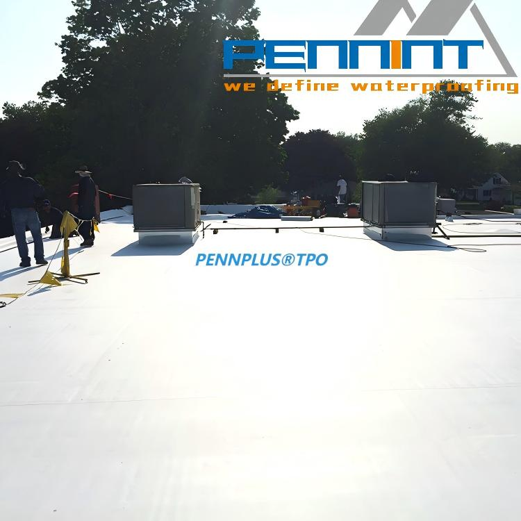 Tpo Building Waterproofing Membrane for Basement and Roofing