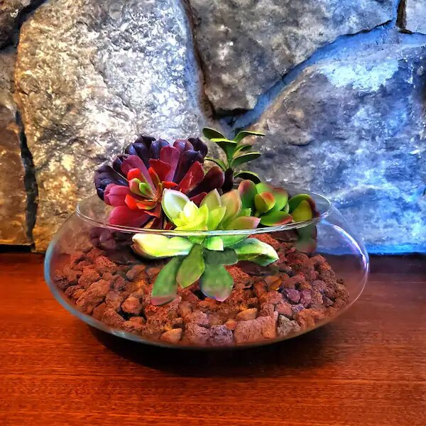Flower Pot Bonsai Pot Volcanic Rocks Lava Rock Stone China Volcan Rock