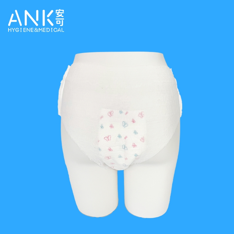 Women's Comfortable Menstrual Safety Underwear for Daily Wear