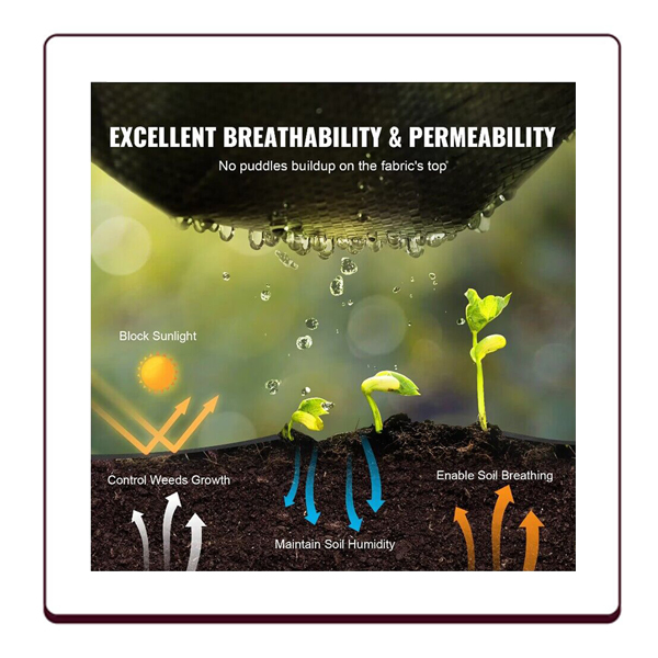 Агроткань черная перфорированная для защиты от сорняков