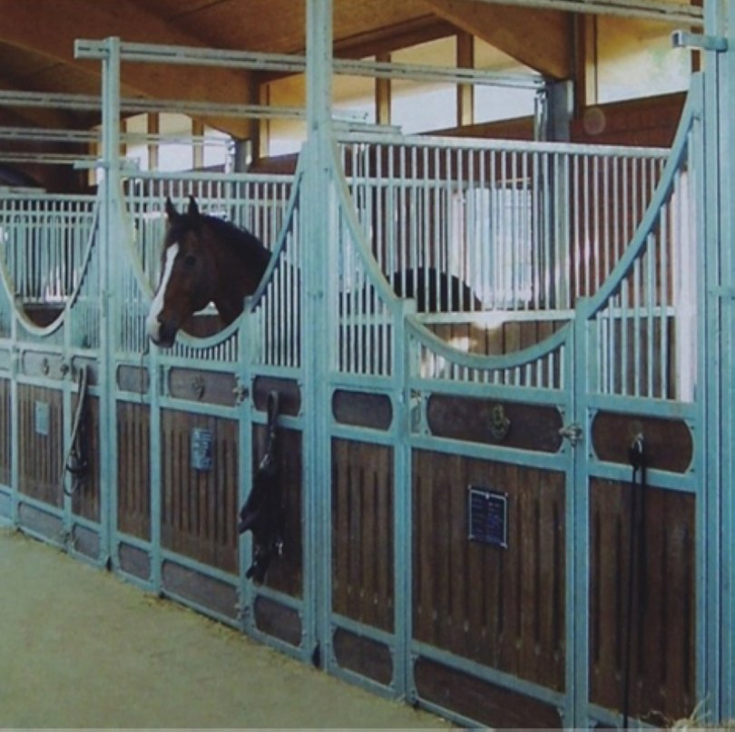 Fireproof Carbonized Bamboo Horse Stable Plank