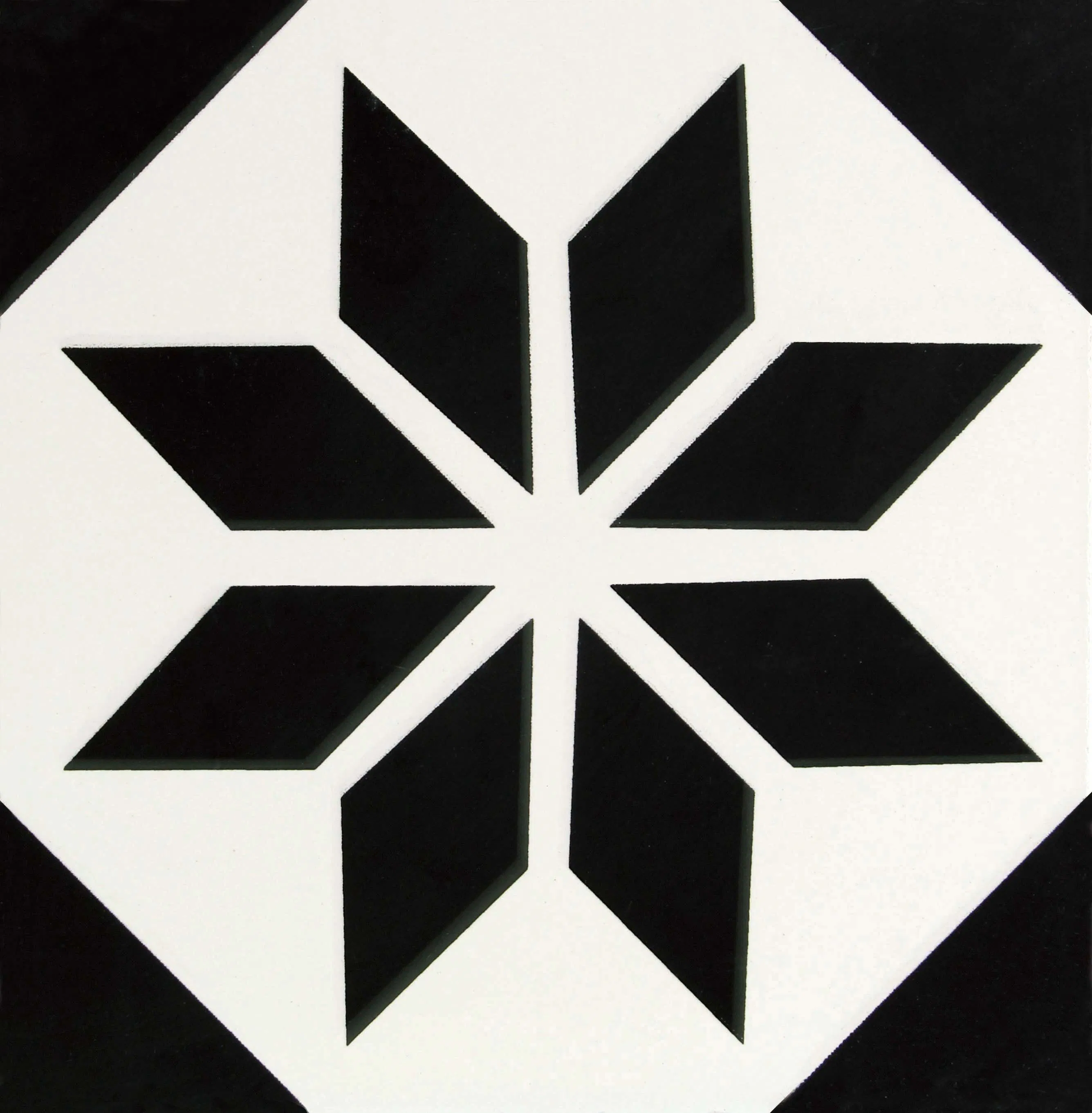 New Decoration/ Balck and White/Glazed Ceramic Porcelain Floor Tile200*200mm