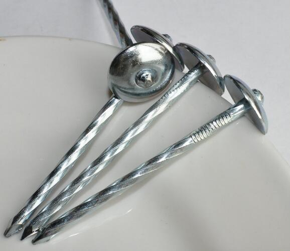 2.5 Inch and 3 Inch Galvanized Sheets Roofing Nails and Washers