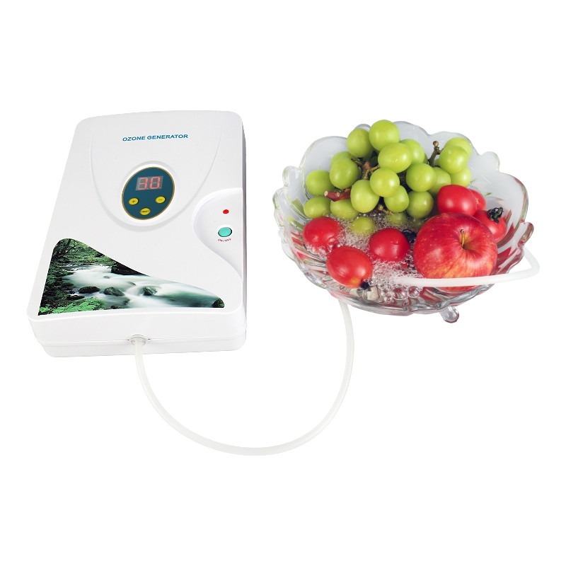 Wholesale Multifunctional Ozone - Powered Fruit and Vegetable Washer for Efficient Cleaning
