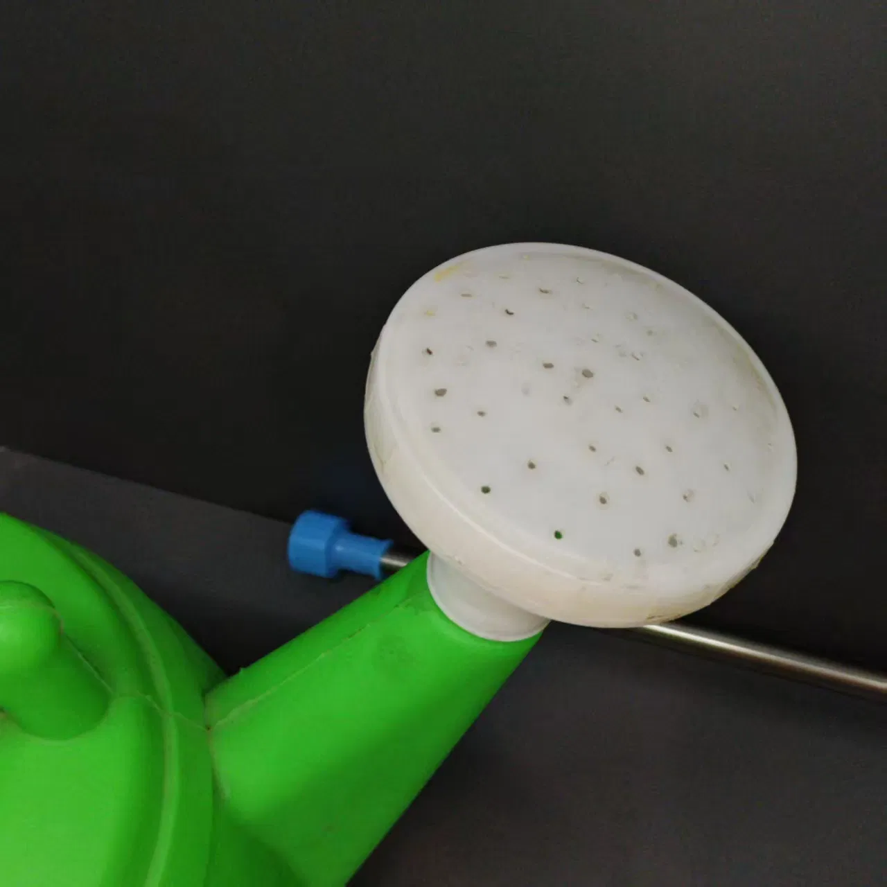 Small Hand Pressure Sprayer Mini Water Spray Bottle for Garden & Cleaning