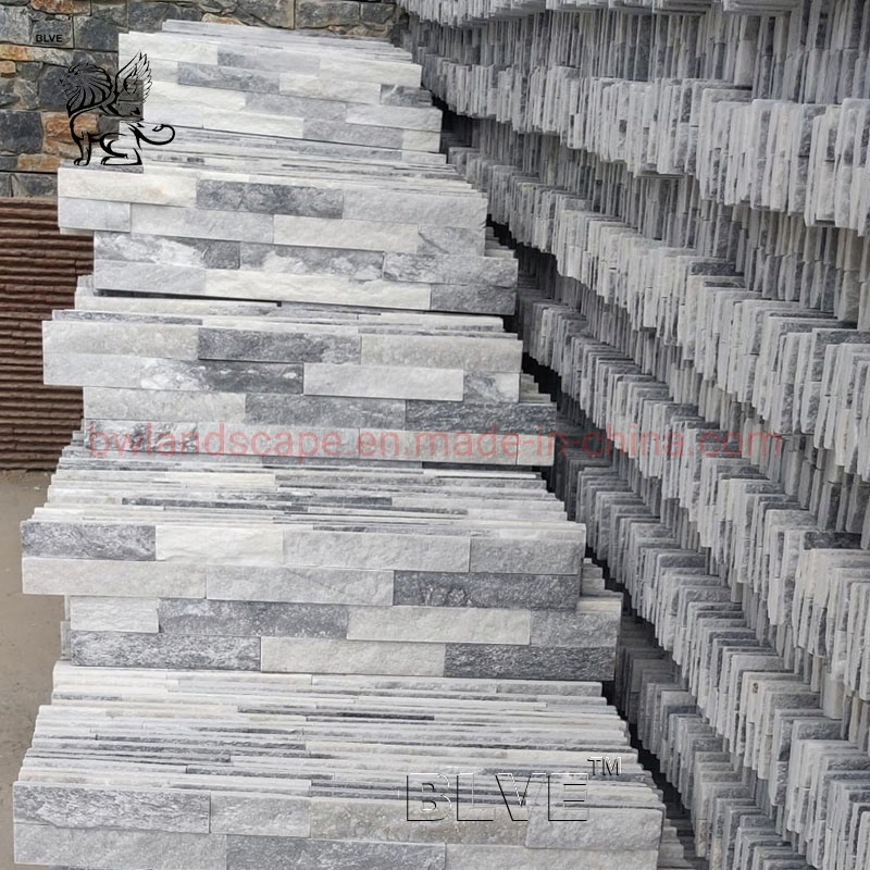 Blve Free Sample Marble Slab and Floor Tiles Nature Panda White Marble Big Slab Culture Stone