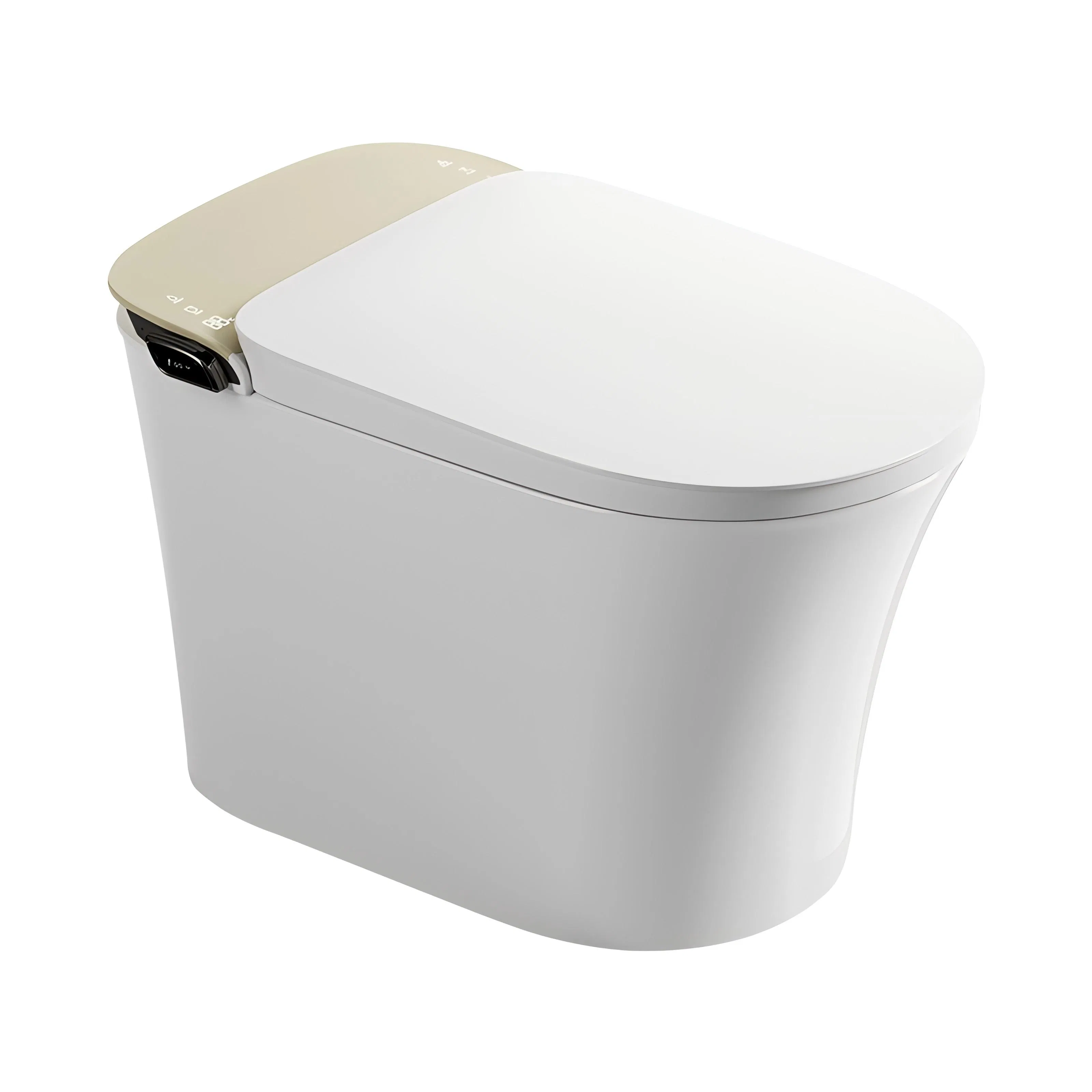 Modern Intelligent Toilet Ceramic Remote Control Intelligent Toilet Seat