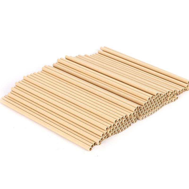 Eco-Friendly 6mm Bamboo Pulp Paper Straws for Food Use