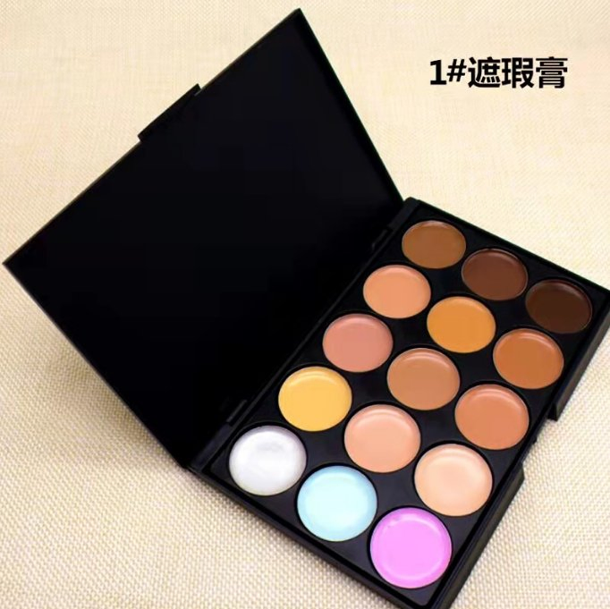15 Colors Graduated Layers Powder Concealer Waterproof Skin-Friendly Makeup Natural Wholesale Concealer Conmpact