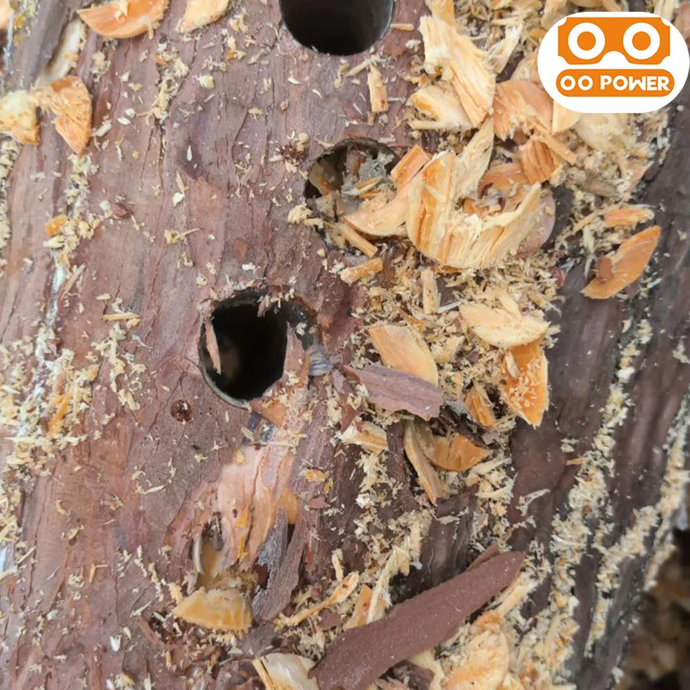 25.4cc Petrol Tree Drill Auger Gasoline Hole Digger Machine Portable Drill (DS260B)