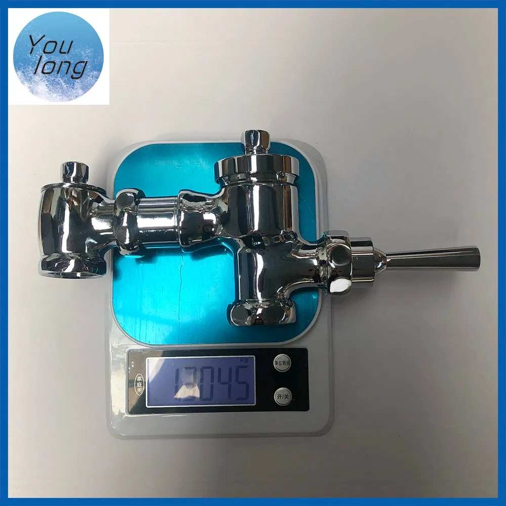 Wall Mounted Bathroom Flush Faucet Brass Time Delay Urinal Toilet Flush Valve