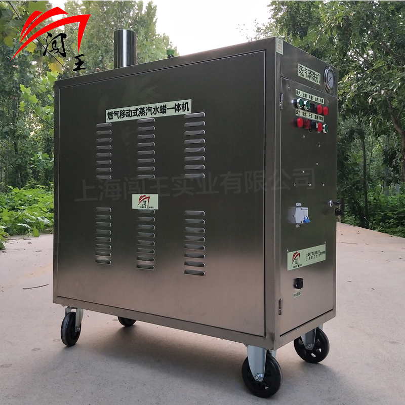 Portable Codeless Car Washing Machine Gas Powered Steam Washer, 4X12V Battery System, No External Power Cord, 50kg/H Steam Flow for Flexible Mobile Cleaning