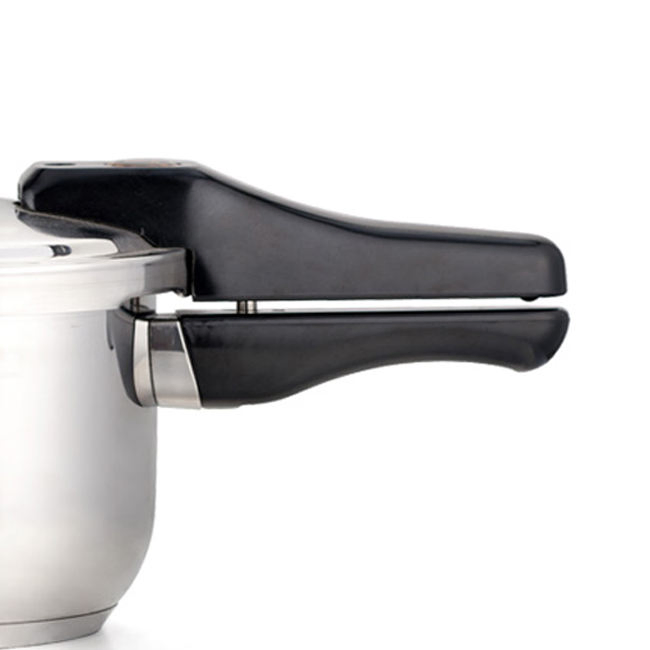 Premium 3L Stainless Steel Pressure Cooker for Gas and Induction