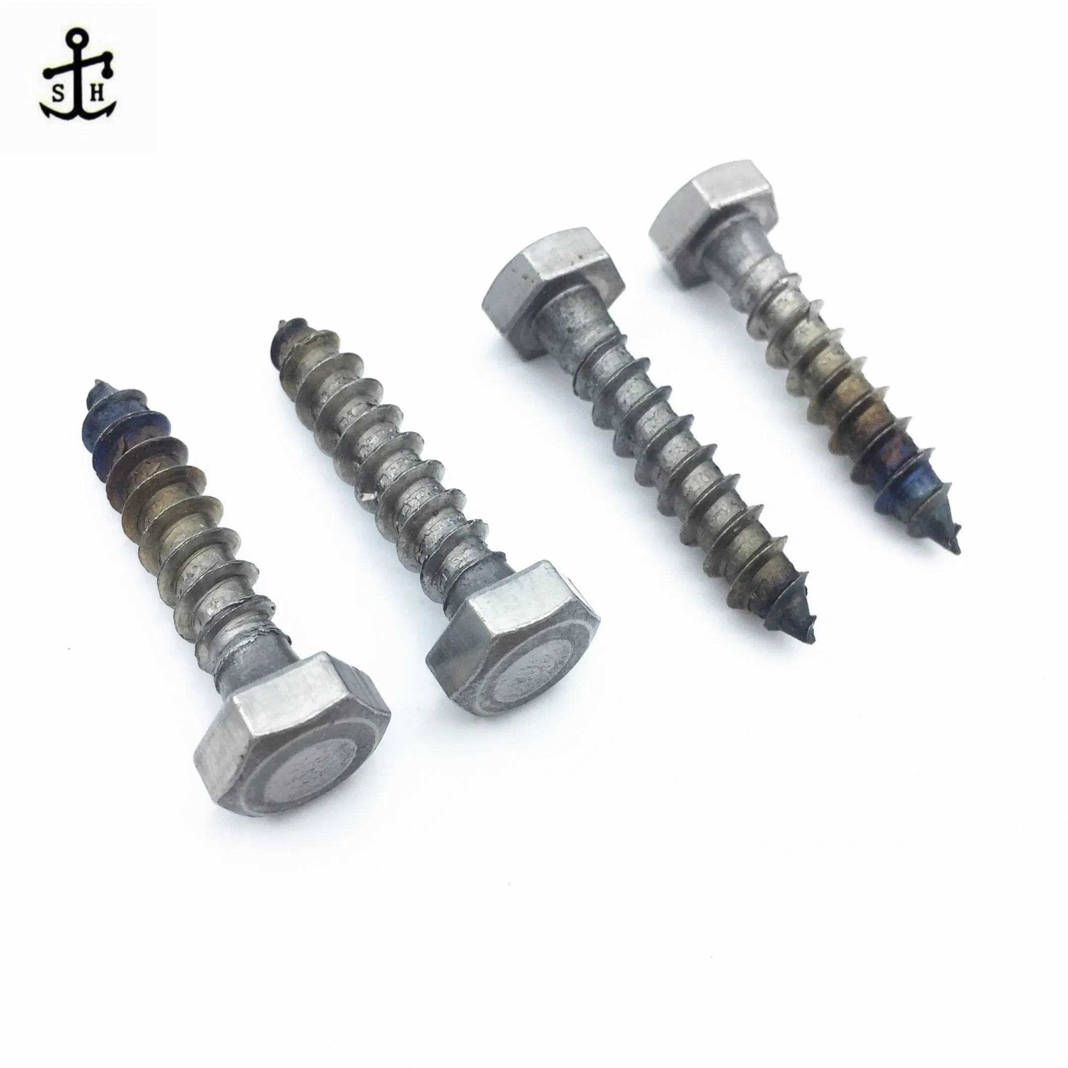 Hardware Fasteners Metal Zinc Galvanized Black Hex Hexagonal Head Wood Screws Lag Screw of DIN571 Made in China