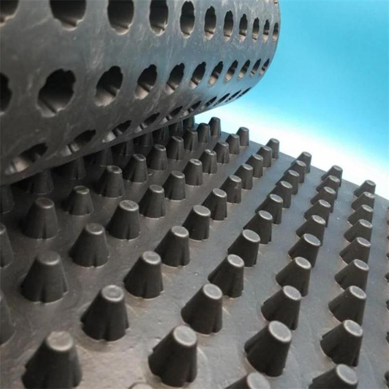 8mm 10mm 12mm HDPE Plastic Dimple Drainage Board Dimple Drain Board for Roof
