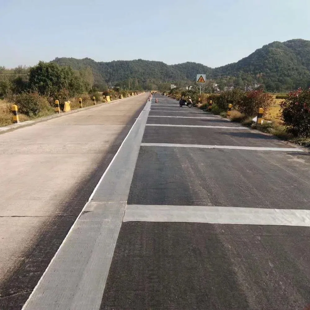 Plastic Geogrid Biaxial Geogrid High-Strength to Prevent Driveway Subsidence and Erosion