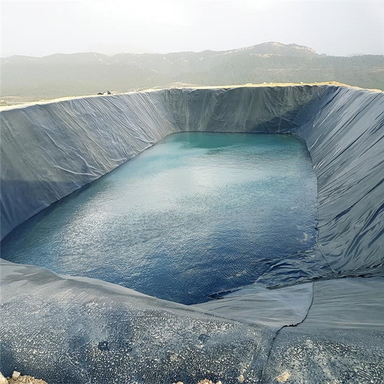 HDPE Geomembrane Pond Liner for Fish Farm or Shrimp