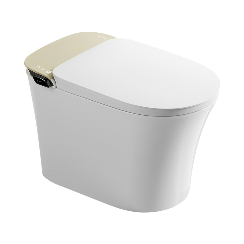 Luxury Modern Intelligent Toilet Integrated Ceramic Remote Control Intelligent Toilet Seat