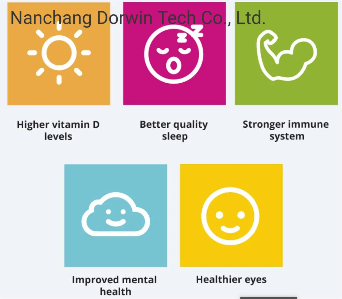 Hot Selling Healthy Outdoor Backyard Glass House Patio Enclosures Porch Sunroom