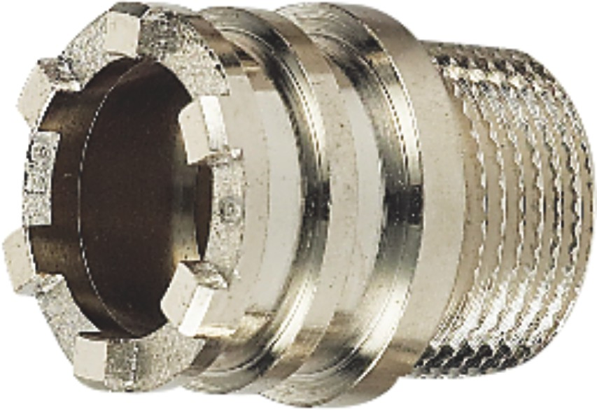 Forging Brass Male or Female PPR Insert for PPR Plastic Pipe