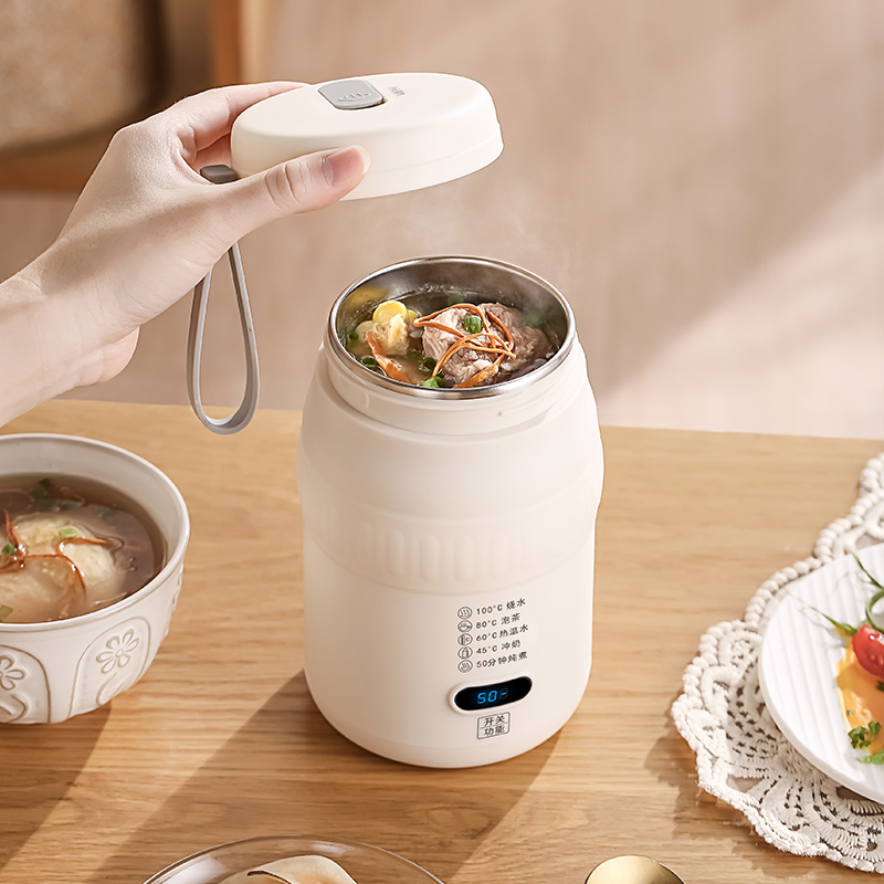 Smart Portable 5-in-1 Electric Kettle, 500ml, Type-C & 220V Dual Charging