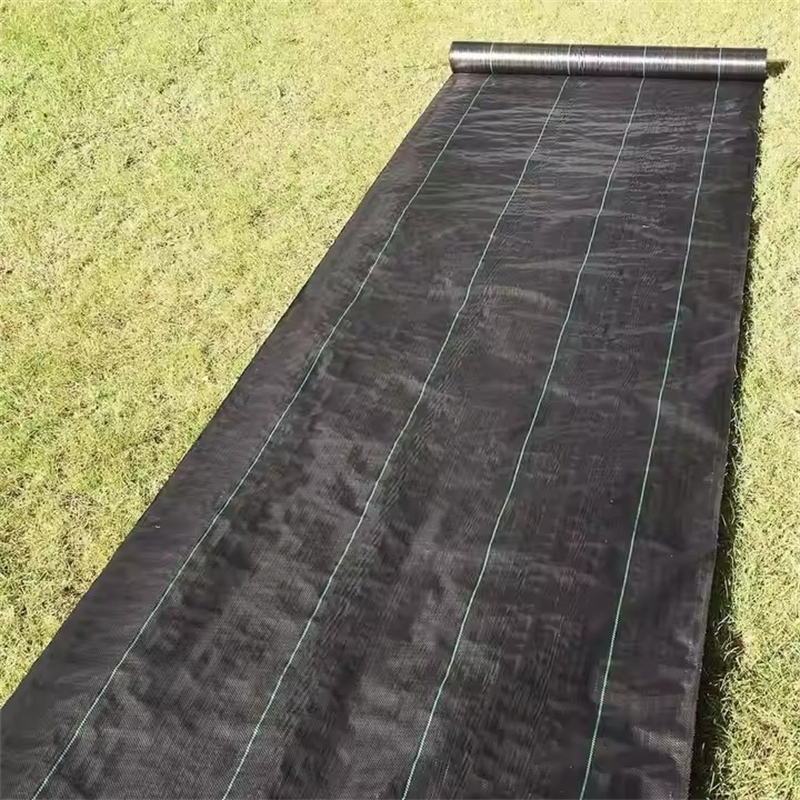 Black100GSM Agricultural Fabric Mat Plant Protection Cover Plastic Weed Mat Custom Cut