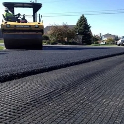 High-Demand Popular Products Molded Forming Impact Resistance Fiberglass Geogrid Sheet for Road Maintenance