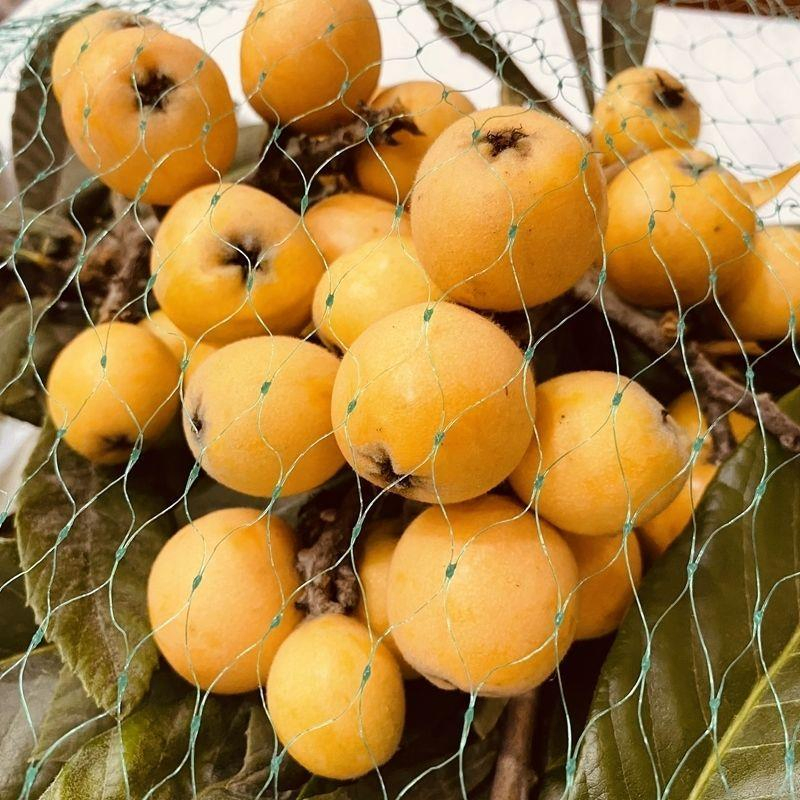 Антимоскитная сетка HDPE Diamond Mesh 17x17 мм