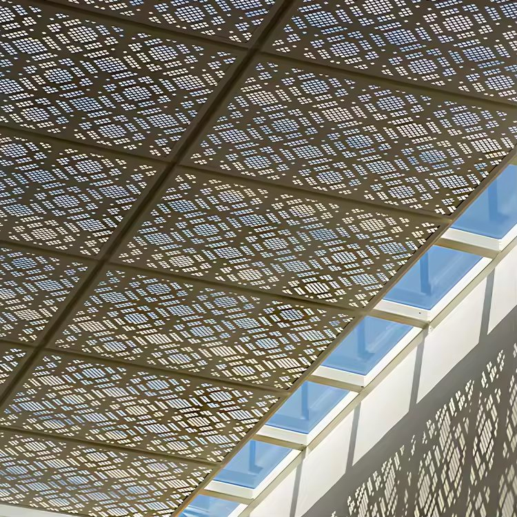 Hyper Durable Surface Finish 10 mm Roof Aluminum Perforated Screen Panel