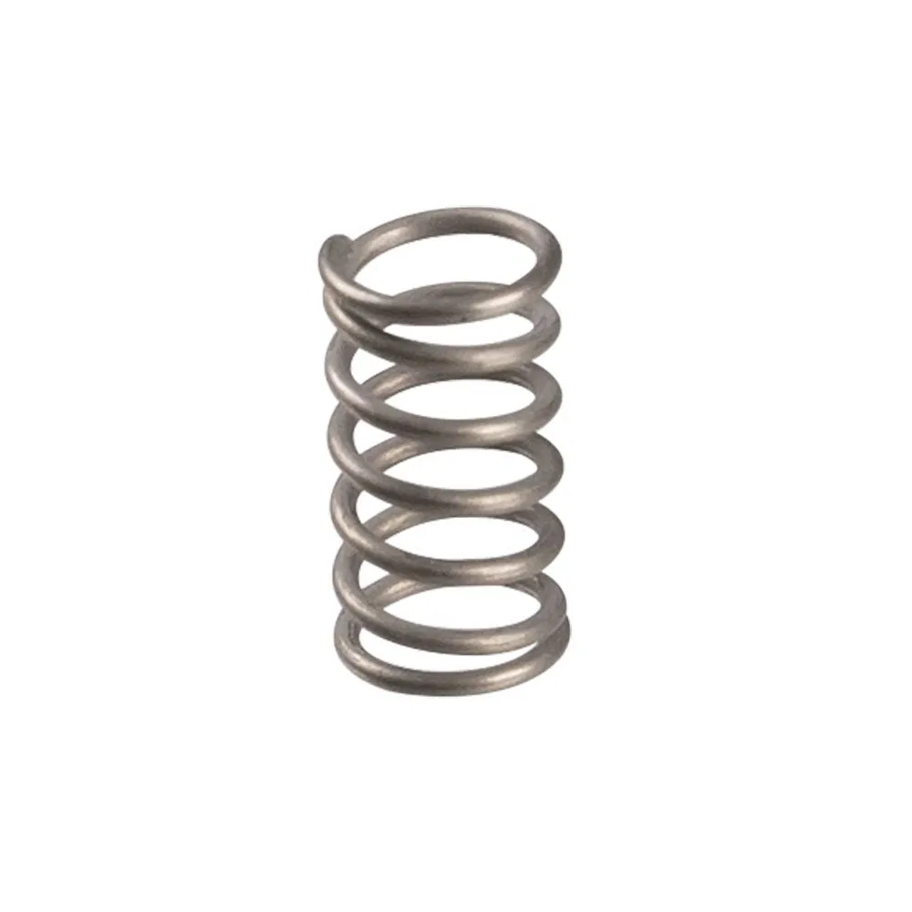 Flat 2 Edges and 3 Edges High Quality Dental Turbine Springs