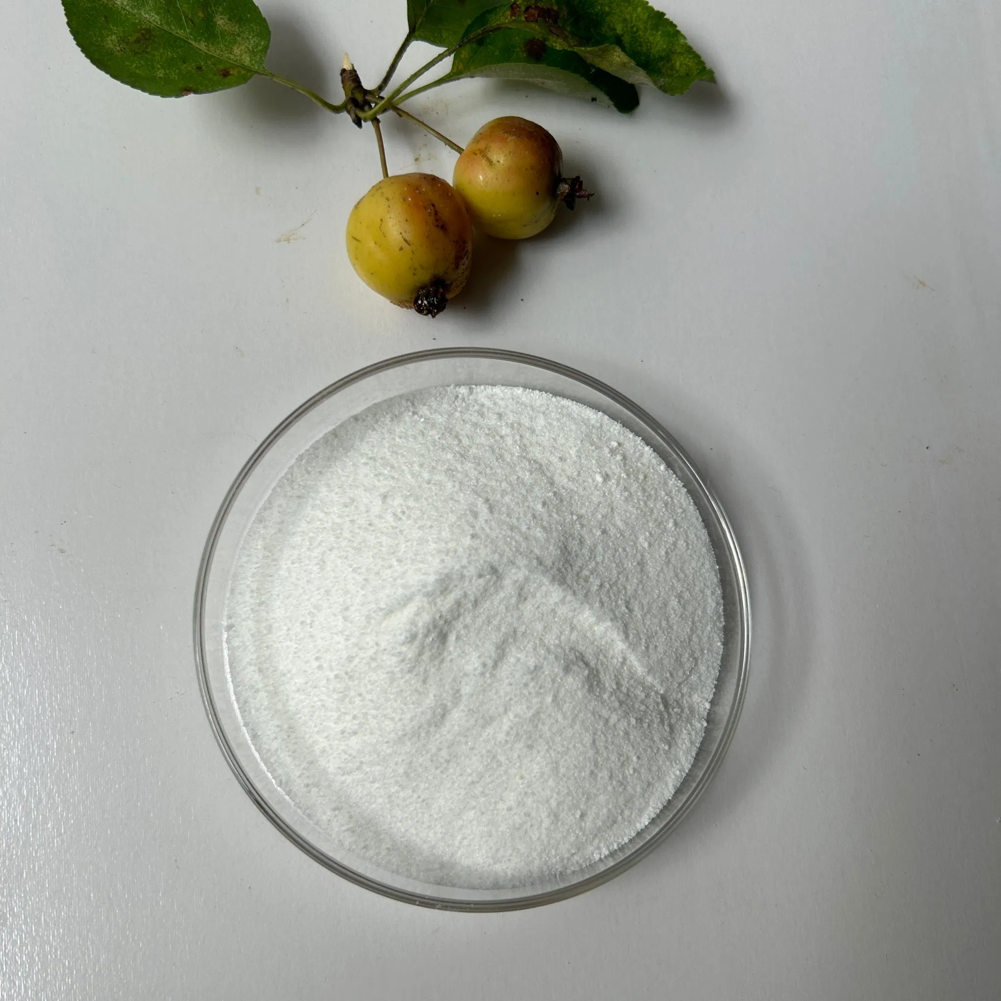 Sg Industrial Grade Retarder Sodium Gluconate
