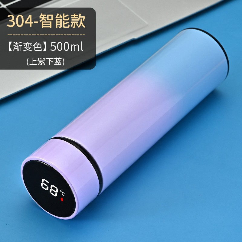 Wholesale Custom 500ml Vacuum Smart Reminder Flask LED Digital Temperature Display Stainless Steel Insulated Smart Water Bottle