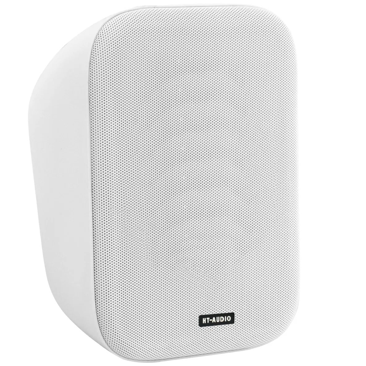 Network Wall Mounted Speaker