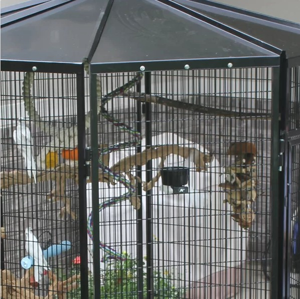 6′ High Large Outdoor Bird Aviary Walk Cages Designer