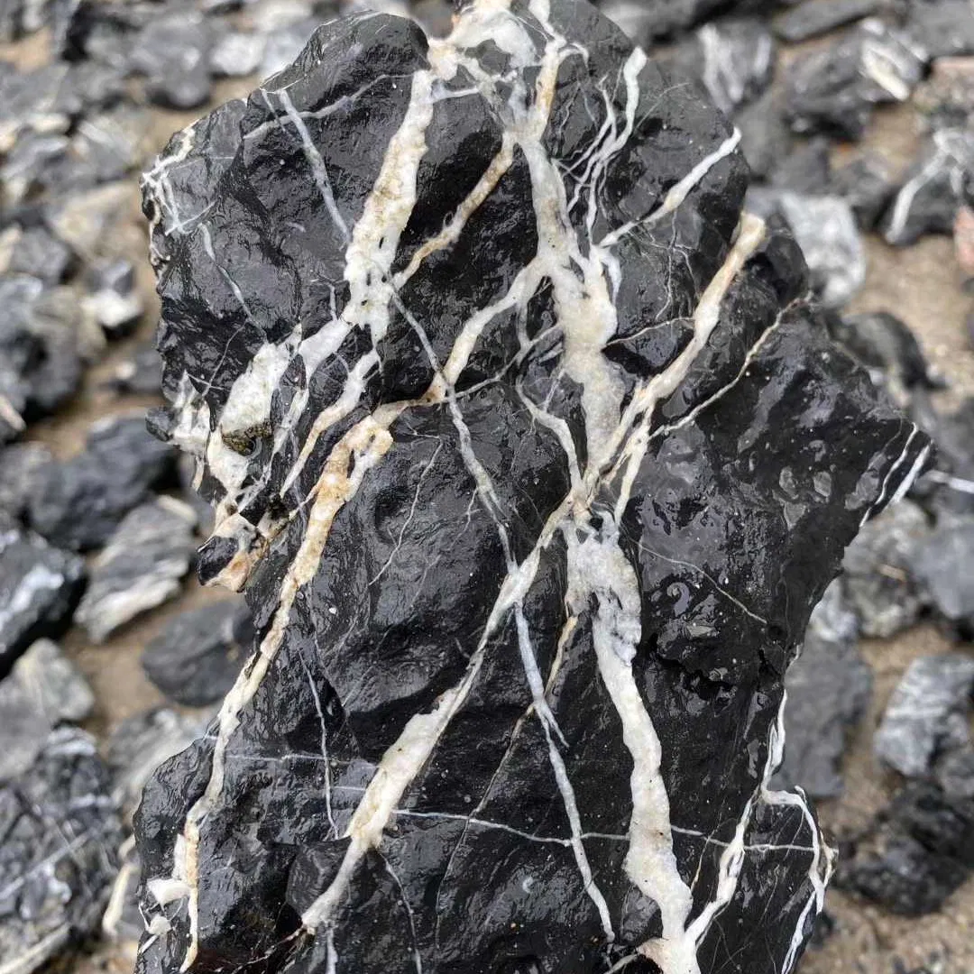 Natural Aquascaping Seiryu Stone for Aquariums and Terrariums