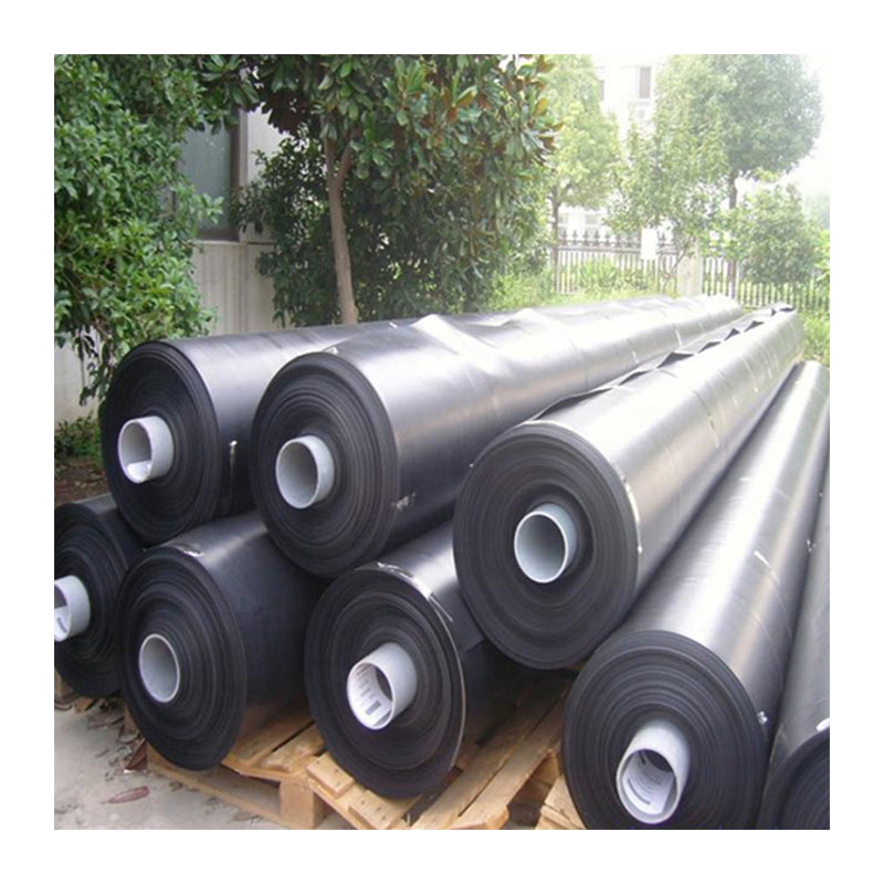 Geomembrane Price HDPE Pond Liner Geomembrana Fish Farming Tank Dam Liner HDPE Geomembranes for Fish Pond Fish Farm