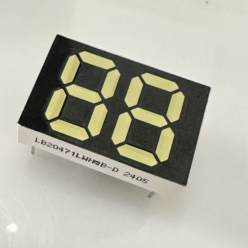 7 Segment LED Display 2 Digit 12mm White for Water Heater