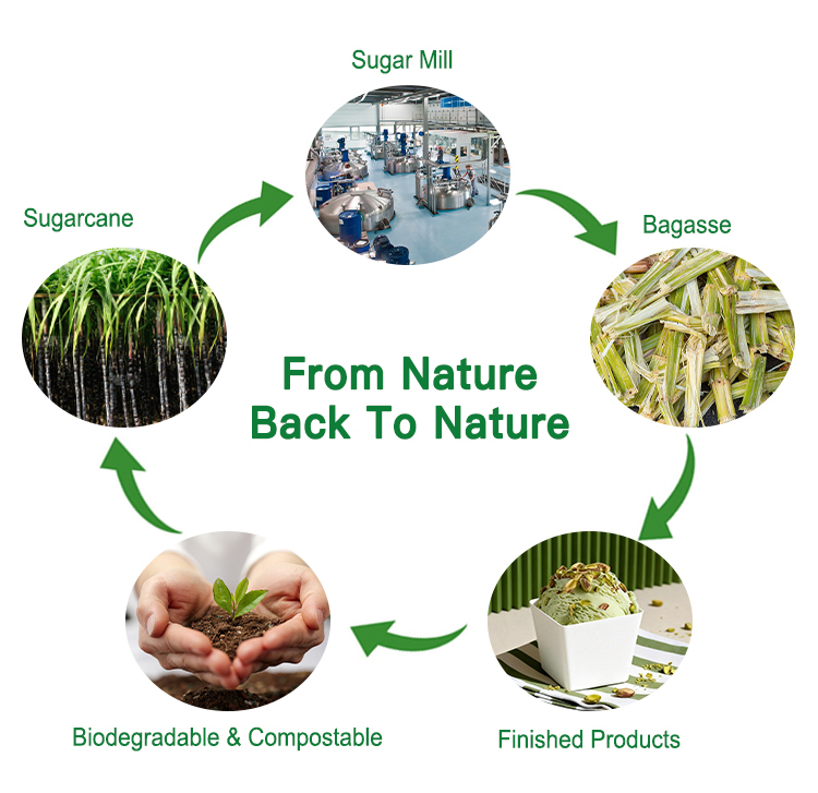 Nature Premium Bagasse Cups Eco Friendly Custom Print Sugarcane Ice Cream Cups