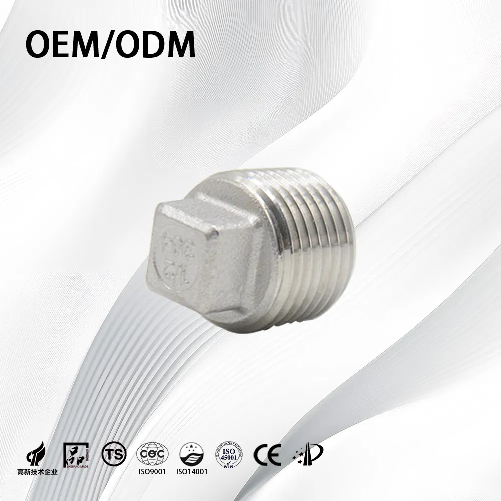 Stainless Steel Customize Threaded Pipe Fitting End Plug for Chemical Handling Pipe