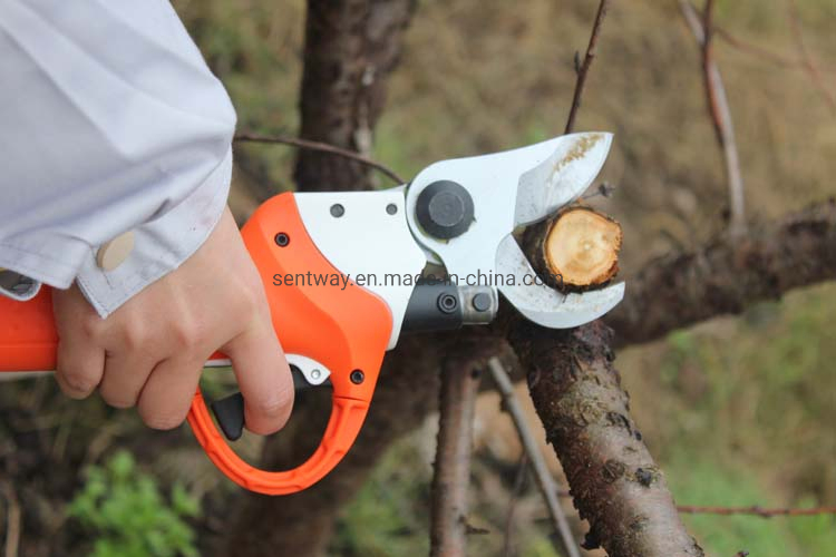 Lithium Battery Easy Hold Pruning Shears Tree Branch Cutting Electric Pruner
