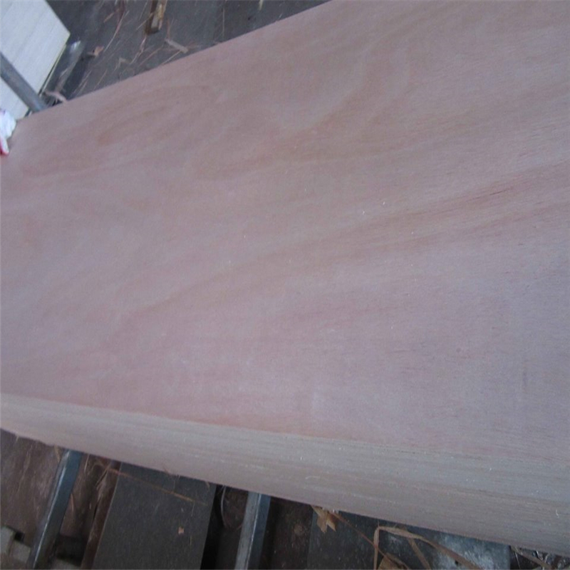 Natural Wood Veneer and Melamine Paper Surface High Quality HDF/MDF Door Skin