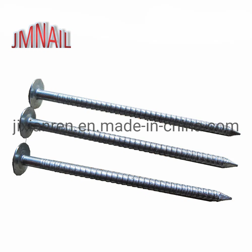 Roofing Nail/Clout Nail/Big Head Nail/Copper Nail/Ceiling Nail/Nail