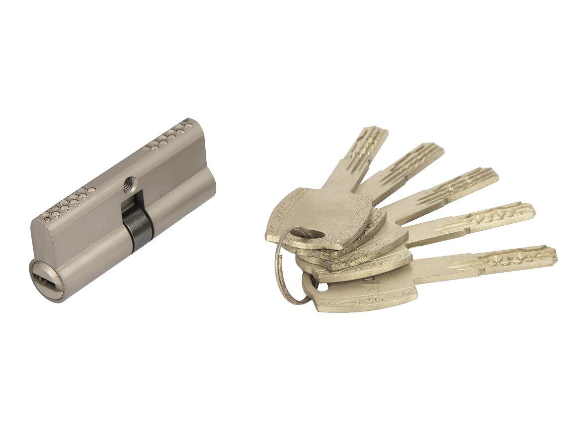 Double Pins Pure Brass High Security Lock Key Cylinder with Snake Keys