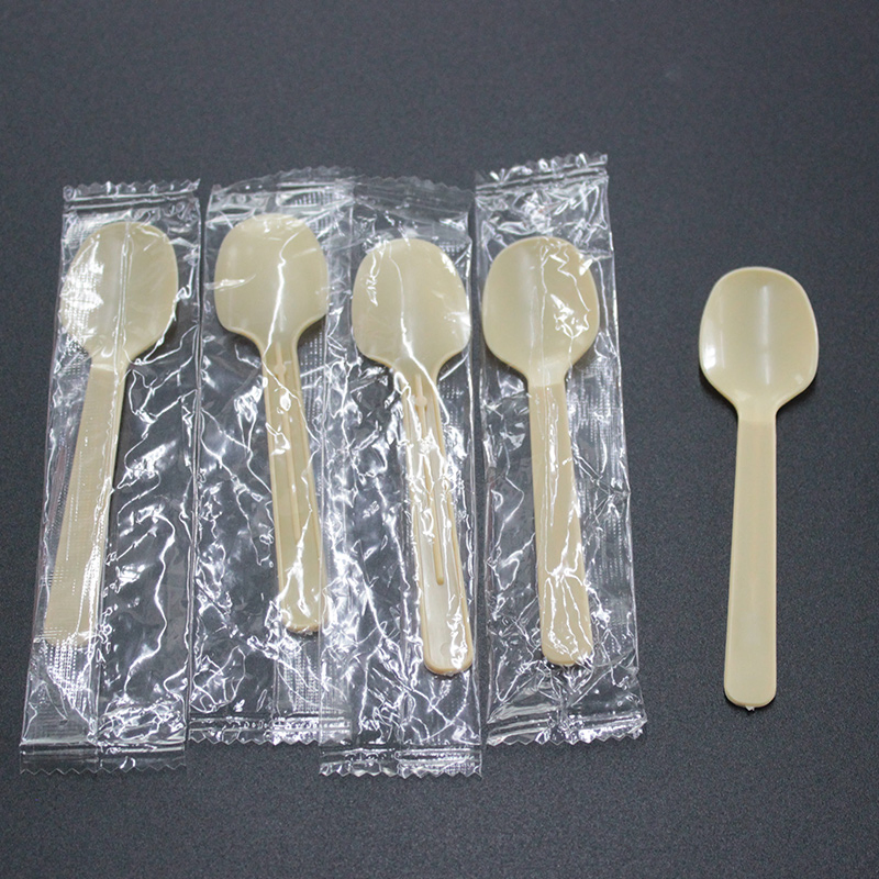 Disposable Plastic Cutlery 100mm Length PS Plastic Spoon Customizable for Ice Cream